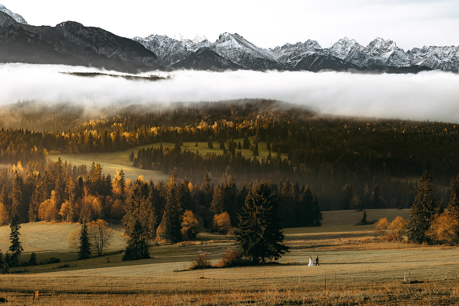 Para młoda spaceruje po łące w Tatrach, malowniczy krajobraz górski w tle.